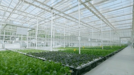 國家農(nóng)業(yè)科技園園藝創(chuàng)新中心正式開園 賦能農(nóng)業(yè)科學(xué)研究與試驗(yàn)發(fā)展